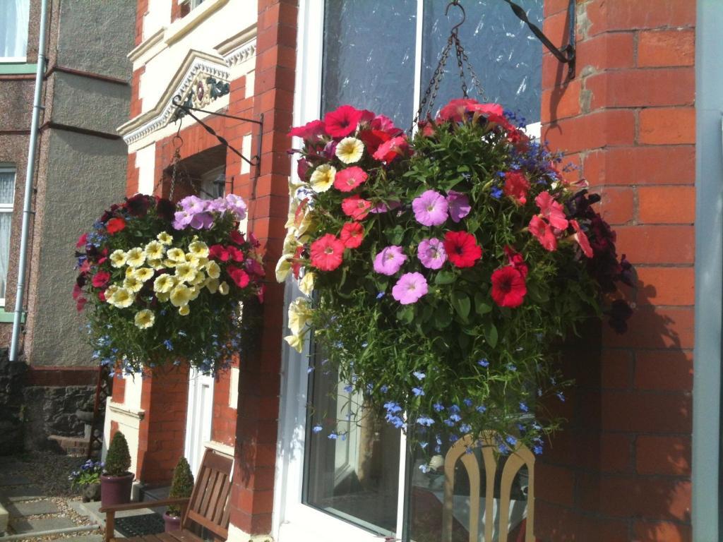 Ascot House (adults Only) Guest house 4*
